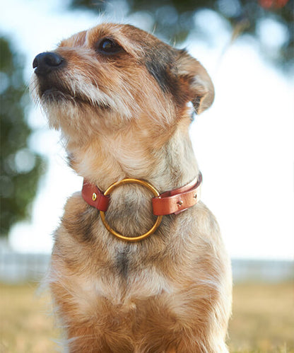 The Riviera Collar by Bastavanco